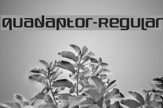Quadaptor-Regular Font examples