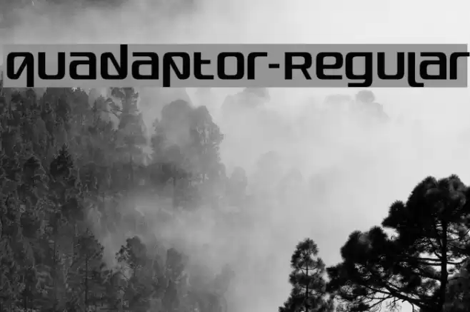 Quadaptor-Regular Font examples