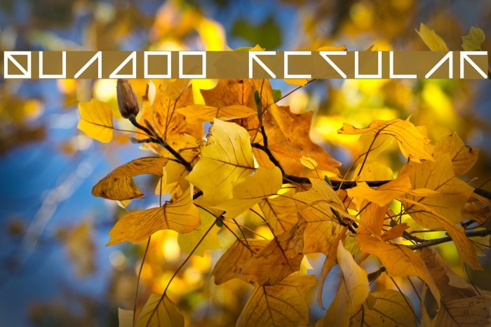 Quadoo Regular Font examples