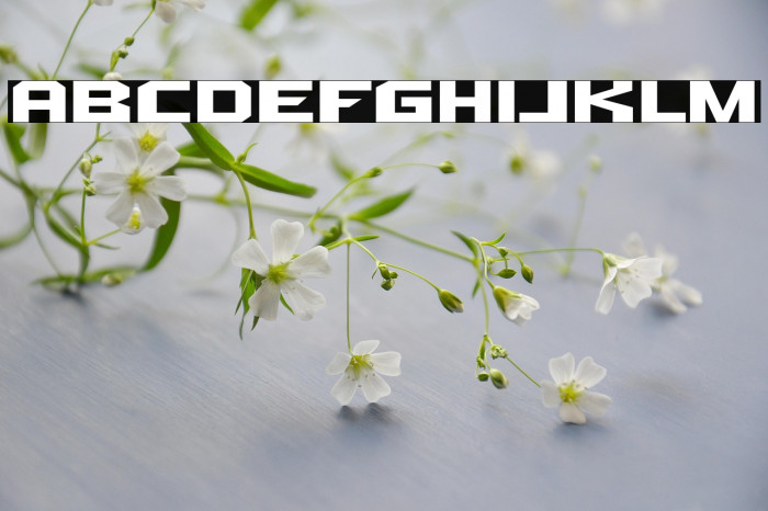 Quadrangle-Regular Example 3