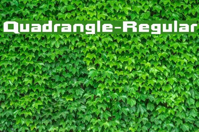 Quadrangle-Regular Font examples