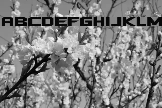 Quadrangle Schriftart examples