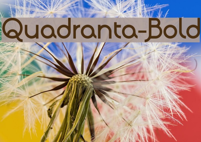 Quadranta-Bold Example 2