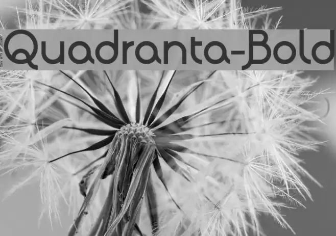 Quadranta-Bold Font examples