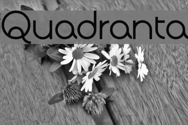 Quadranta Font examples