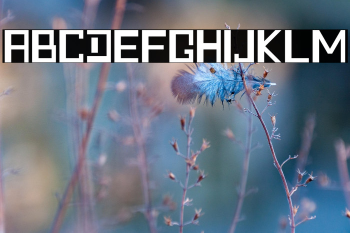 Quadratic - Demo Example 1