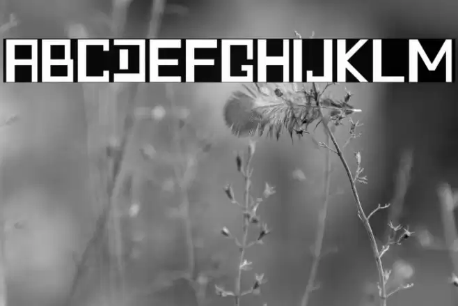 Quadratic - Demo Font examples