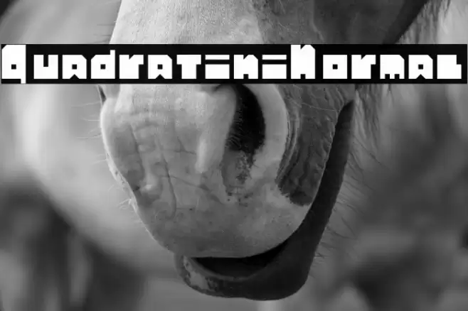 Quadratini Normal फ़ॉन्ट examples