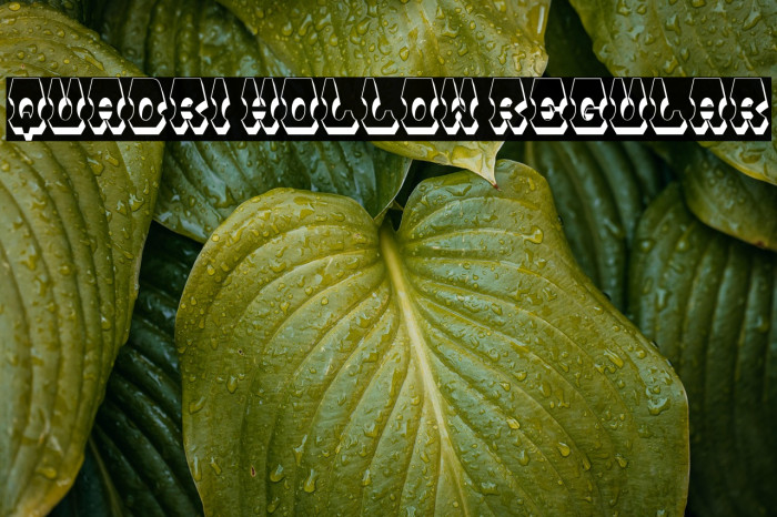 Quadri Hollow Regular Example 1