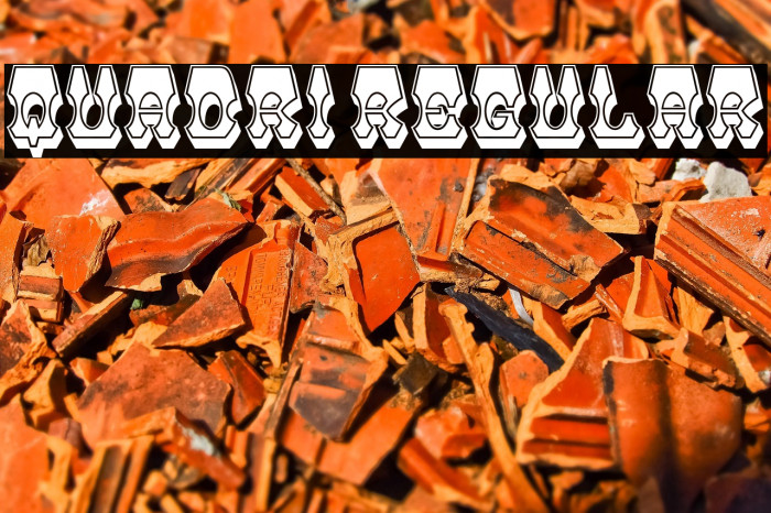 Quadri Regular Example 1