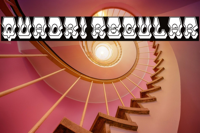 Quadri Regular Example 2