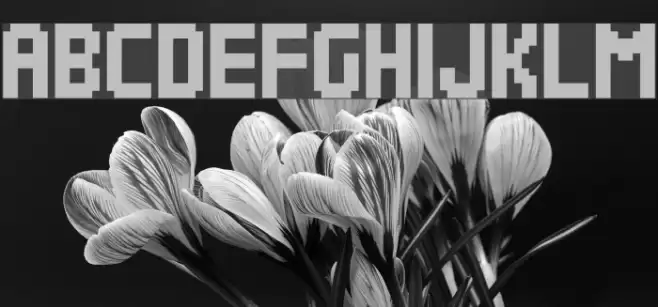 Quadrit Font examples