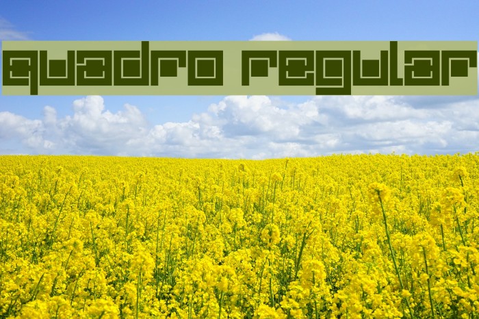 Quadro Regular Font examples