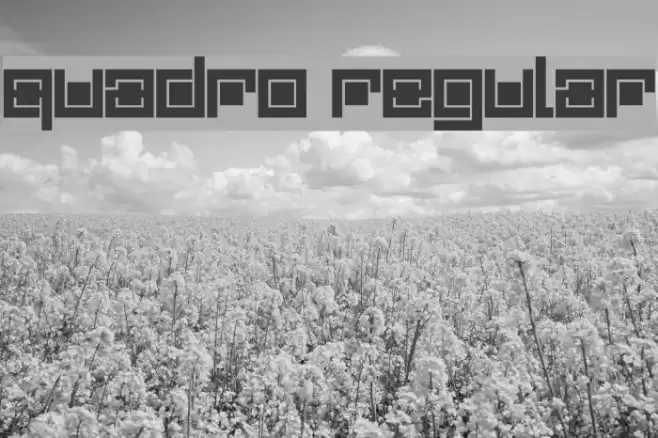 Quadro Regular フォント examples