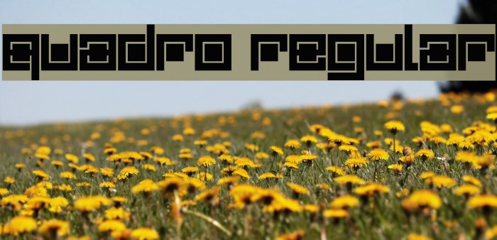 Quadro Regular Font examples