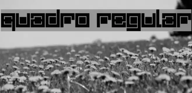 Quadro Regular フォント examples