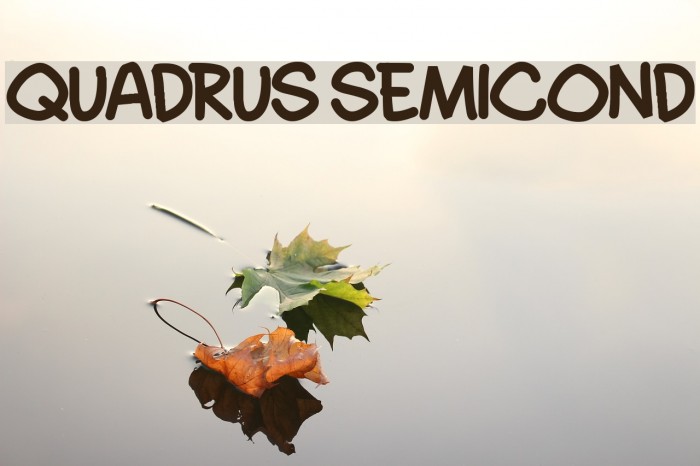 Quadrus Semicond Font examples