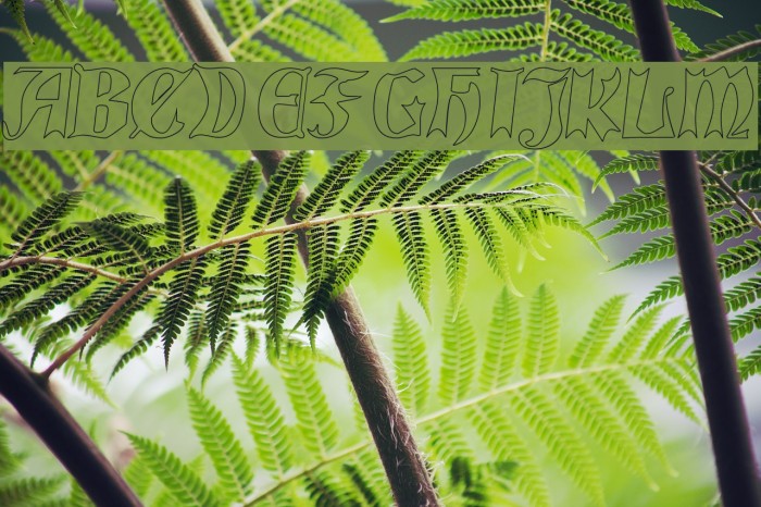 QuaelGothicHollow Font examples