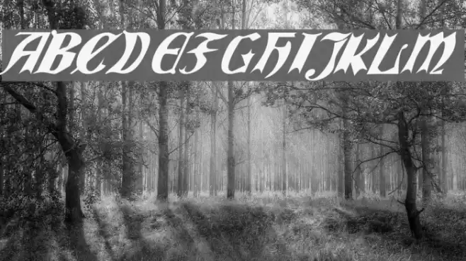 QuaelGothicItalics Font examples