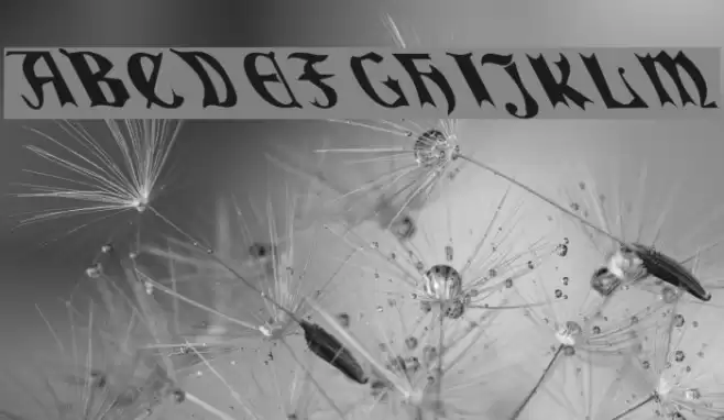 QuaelGothicLeftyCondensed Fonte examples