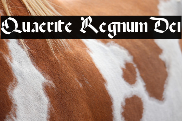 Quaerite Regnum Dei Example 3