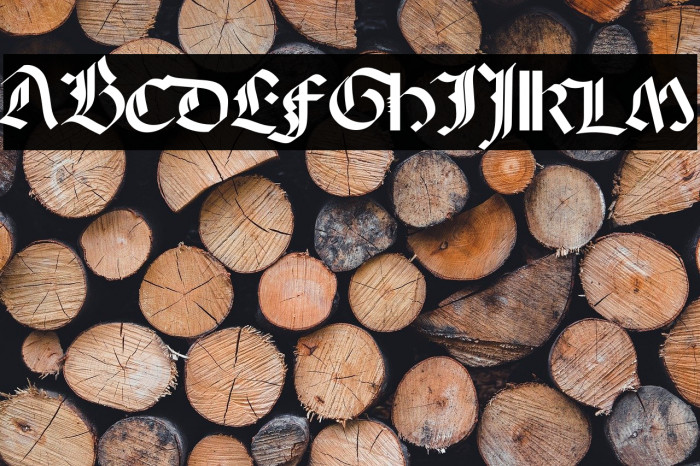 QuaeriteRegnumDei خط examples