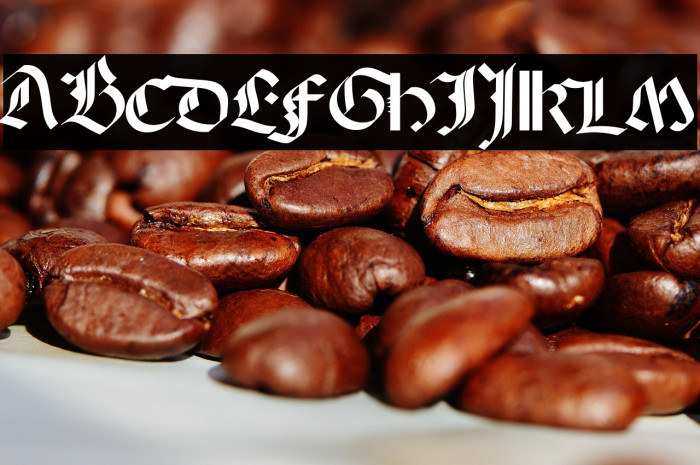 QuaeriteRegnumDei خط examples