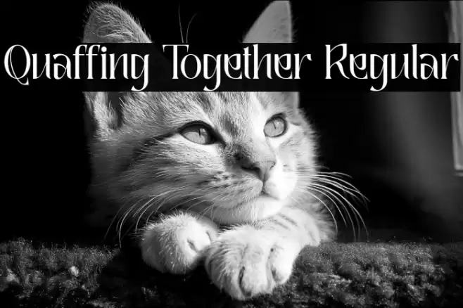 Quaffing Together Regular Шрифта examples