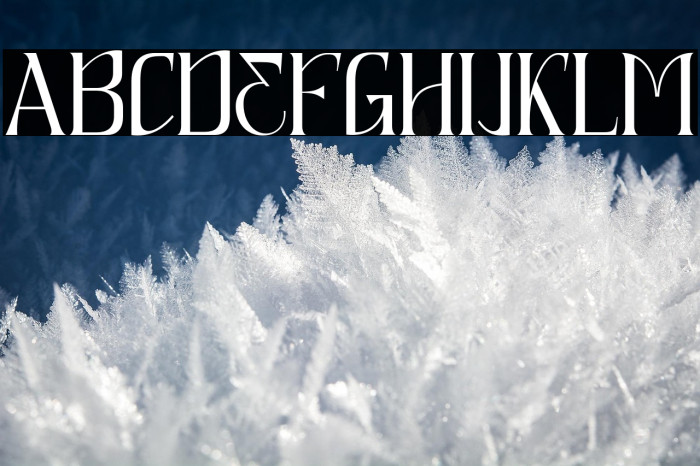 QuaffingTogether-Regular Example 2