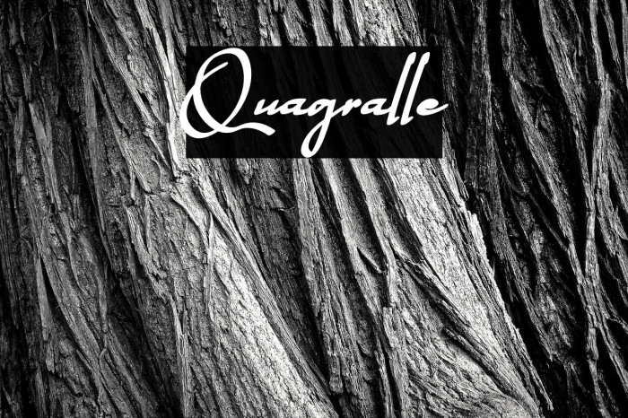 Quagralle Example 1