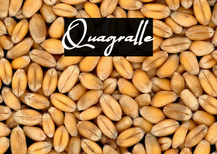 Quagralle Example 3