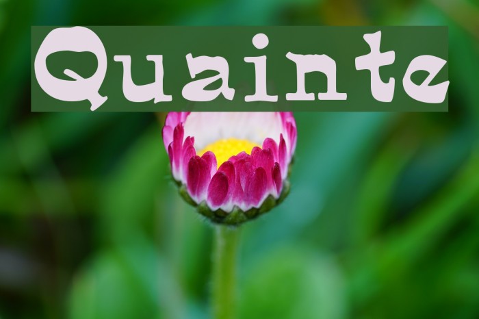 Quainte Font examples