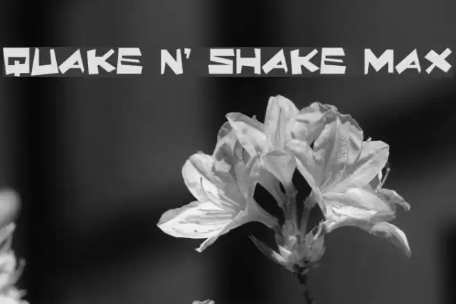 Quake & Shake Max Font examples