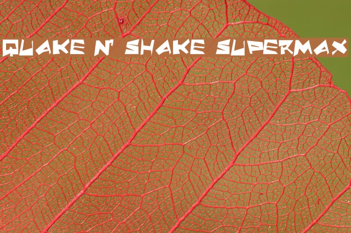 Quake & Shake SuperMax フォント examples