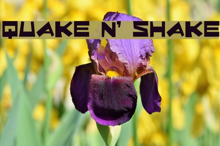 Quake & Shake Font examples