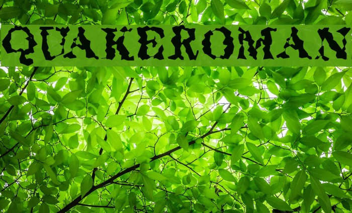 QuakeRoman Example 1