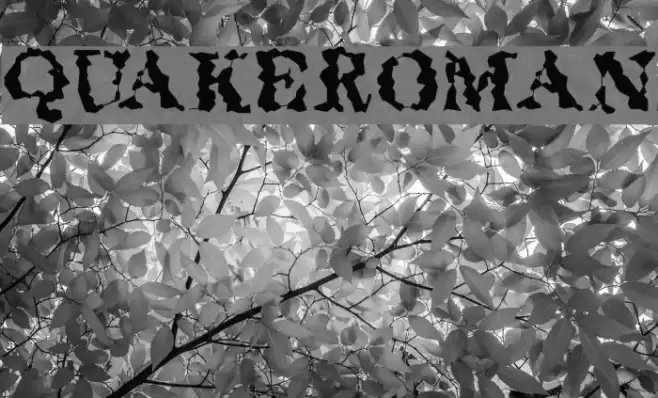 QuakeRoman Font examples