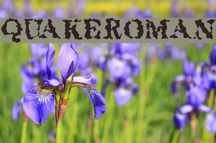 QuakeRoman Example 2