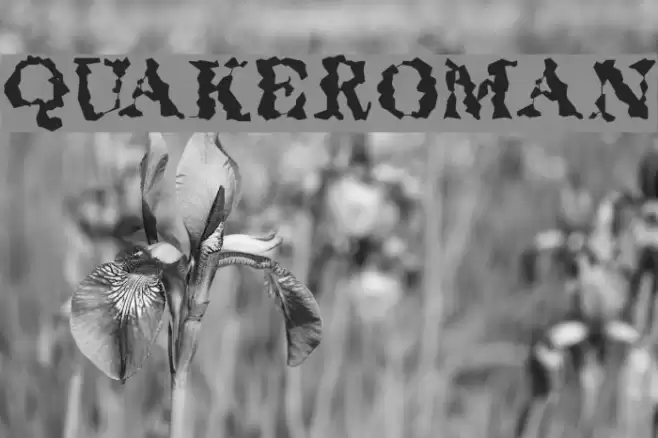 QuakeRoman Font examples