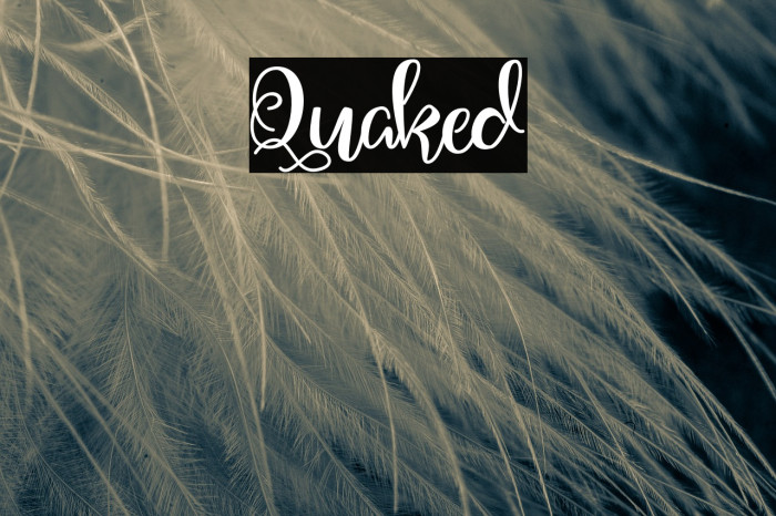 Quaked Font examples
