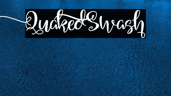 QuakedSwash Example 1