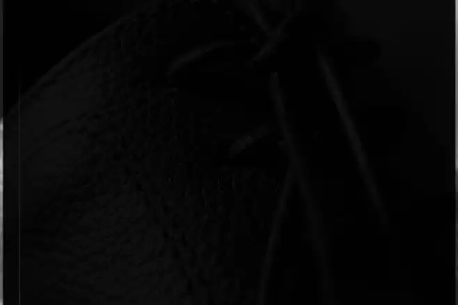 Quaker Shaker extra numbers Font examples