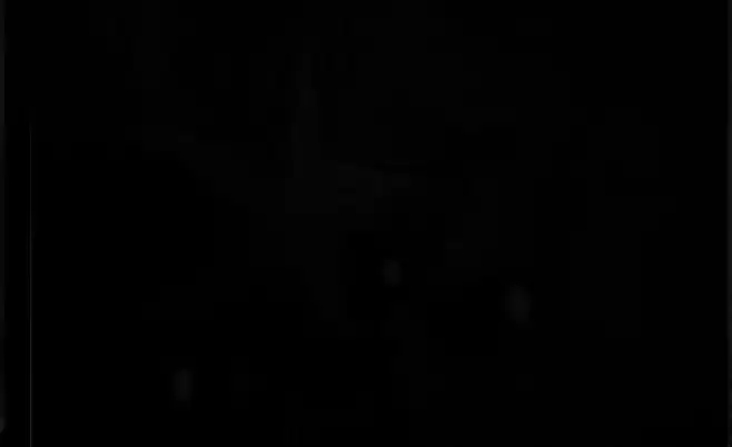 Quaker Shaker extra numbers Font examples