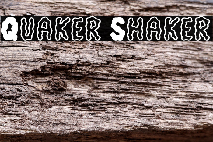 Quaker Shaker Example 1
