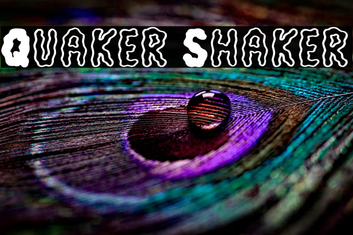 Quaker Shaker Example 3