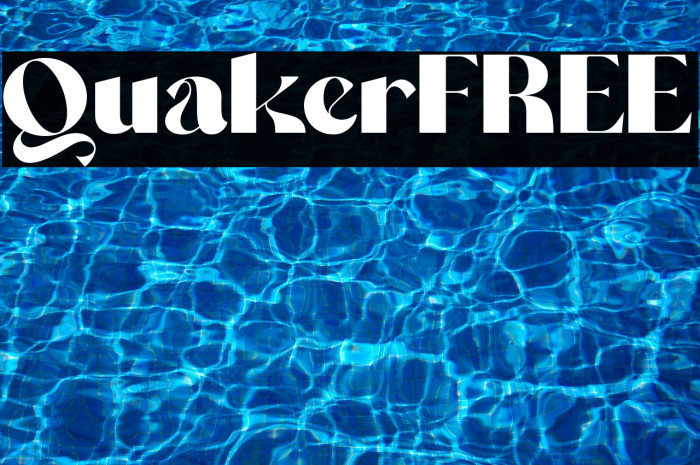 QuakerFREE Example 1