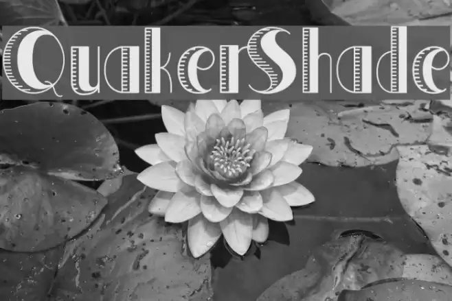 QuakerShade Font examples