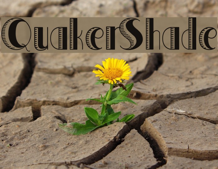 QuakerShade Example 2