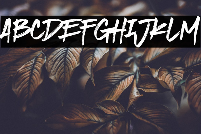 Quakerhack Example 1