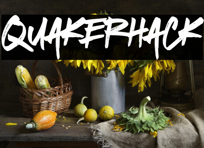 Quakerhack Example 1